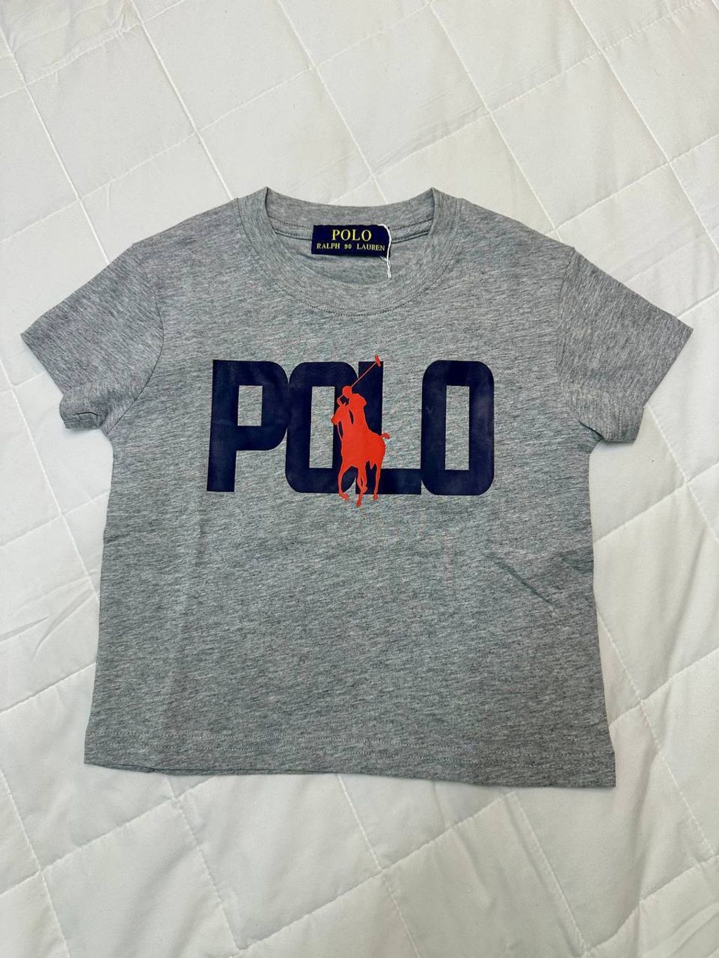 photo_6_2026-02-12_01-38-09