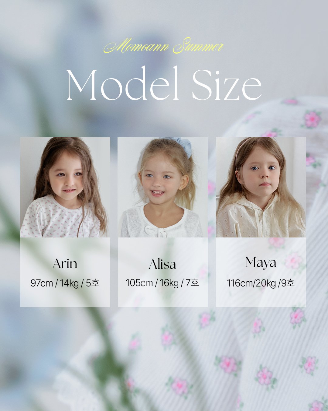 88950b395v7f729b5d45ce813cf7a907