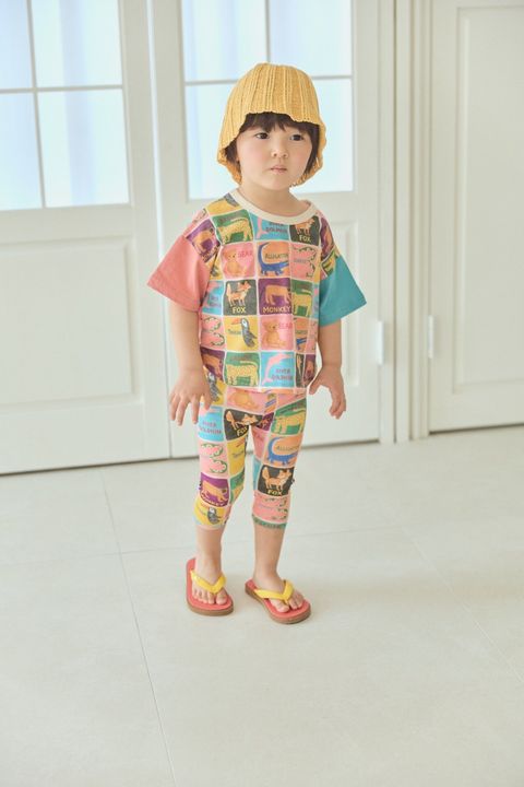 8aa26bdadve42082edb9470a8d00923d