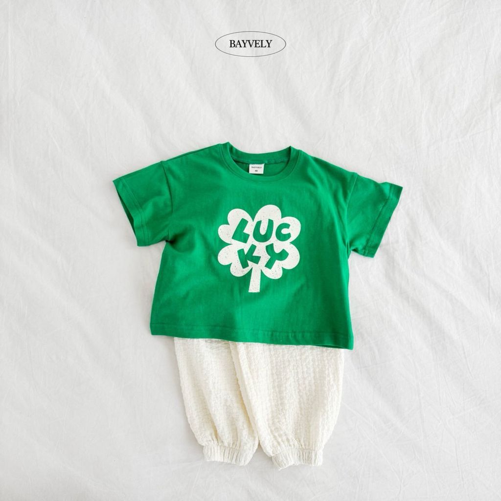 64cc9f813m6c501a1b322f3df923ac79 2