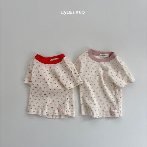 0e86045e2pd5b19faf9a49356f701eb7