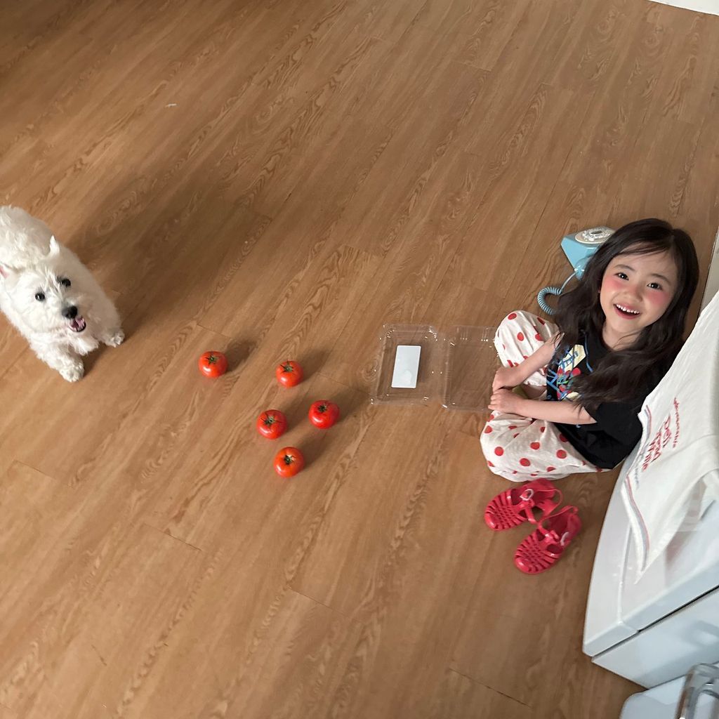 fef4f784cv9e07c1ae8e31f03ee6eb2b