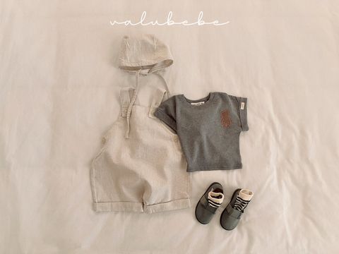 a86286a6dgcb5b55a66481ec37b67ed5