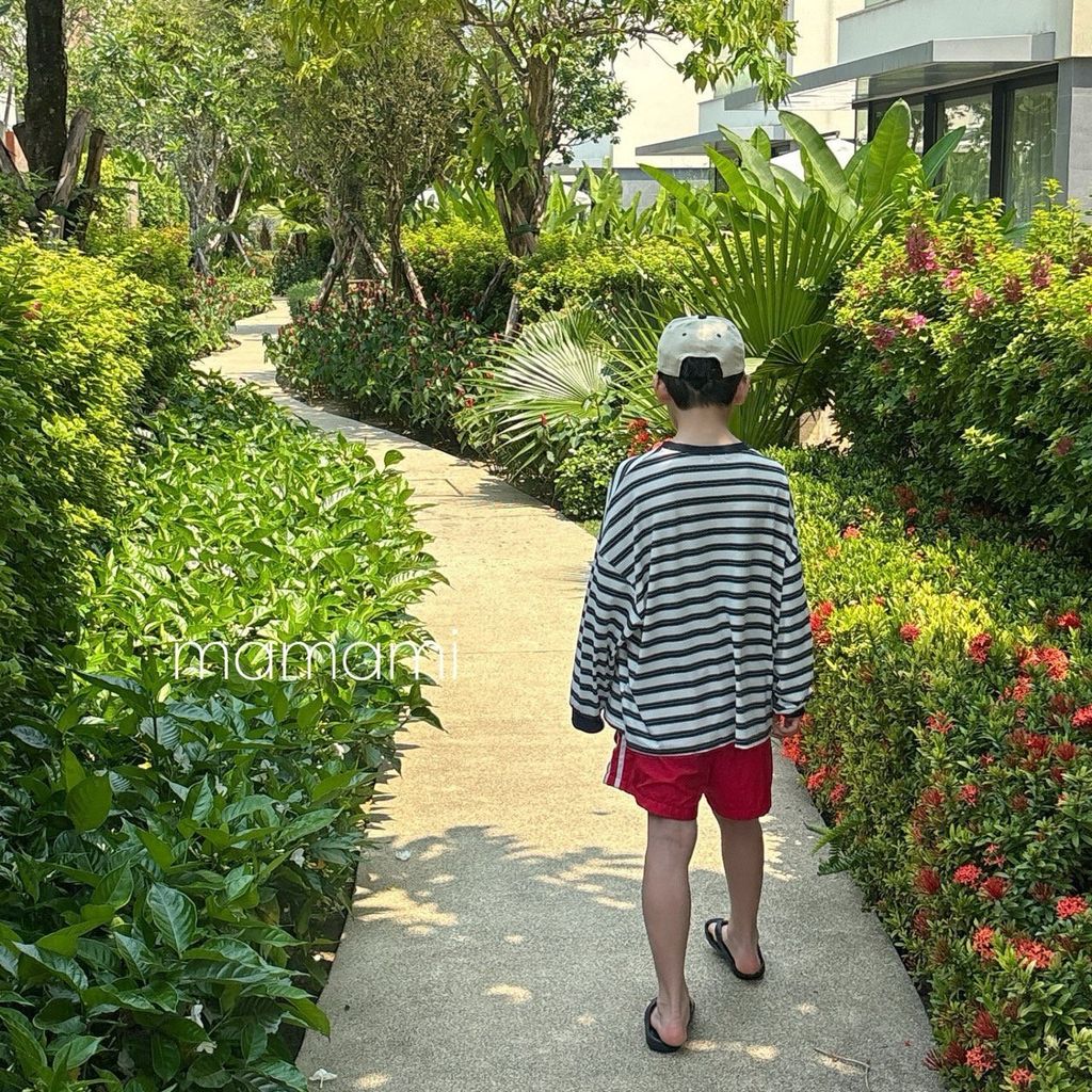 3aaab308dm8e54ce12aa7217563c449f