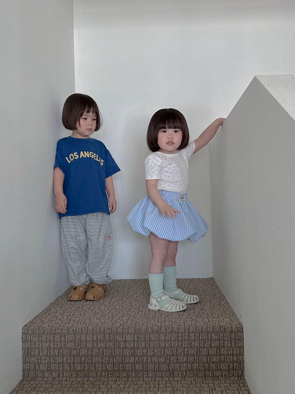 55d88e975k4b26fa4859d6d8eb789e60 2