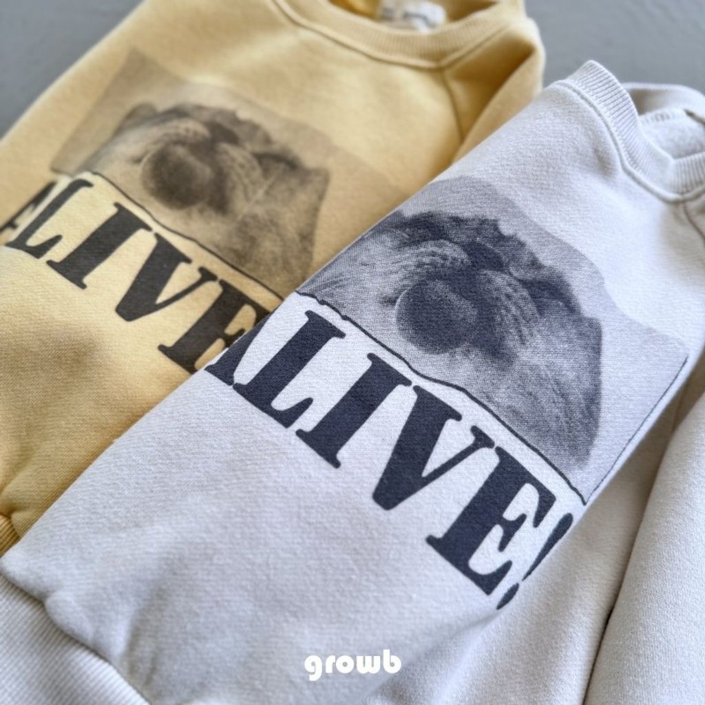 e9d981c26v205a12b5b38e08fe14a28b