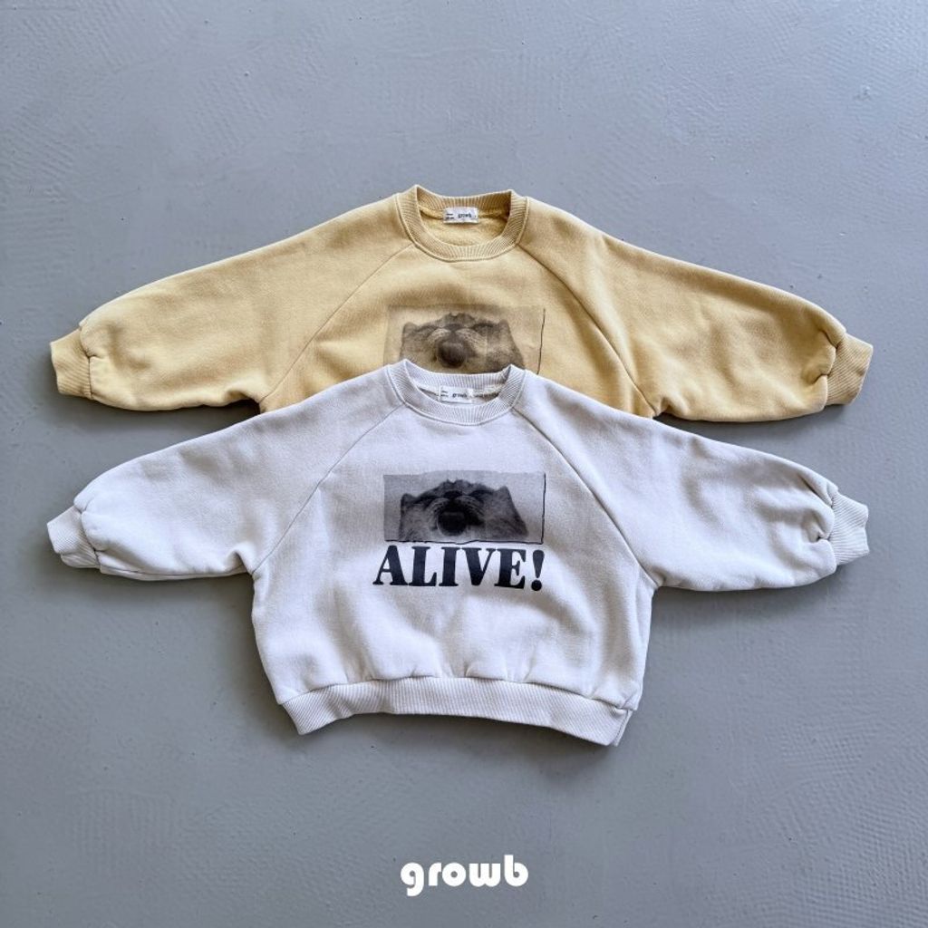 5d5c9381dk64add2e4684e140ab61aae