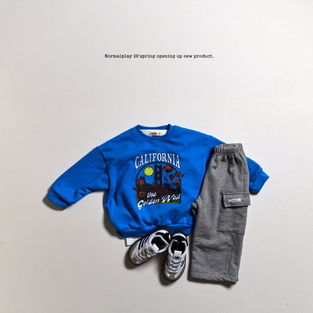 b747132ccs43ef1dc5022f6bad4564b3