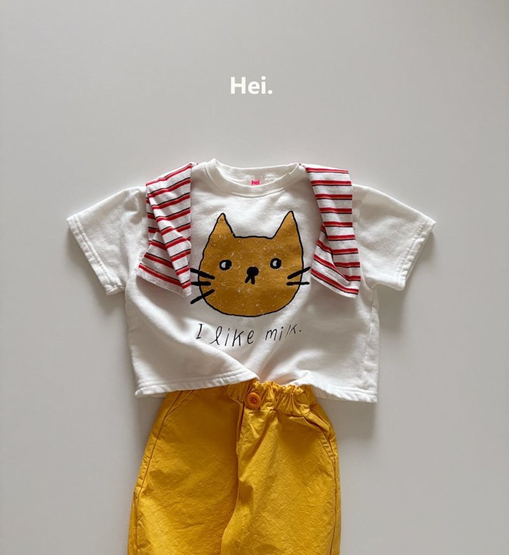 091ab76abia14c4c34636228b21b7206