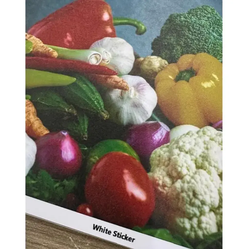 my-11134207-7r98z-lvx1rwhda3cg2a