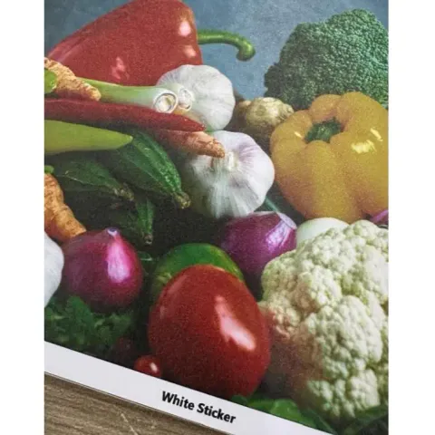 my-11134207-7r98z-lvx1rwhda3cg2a