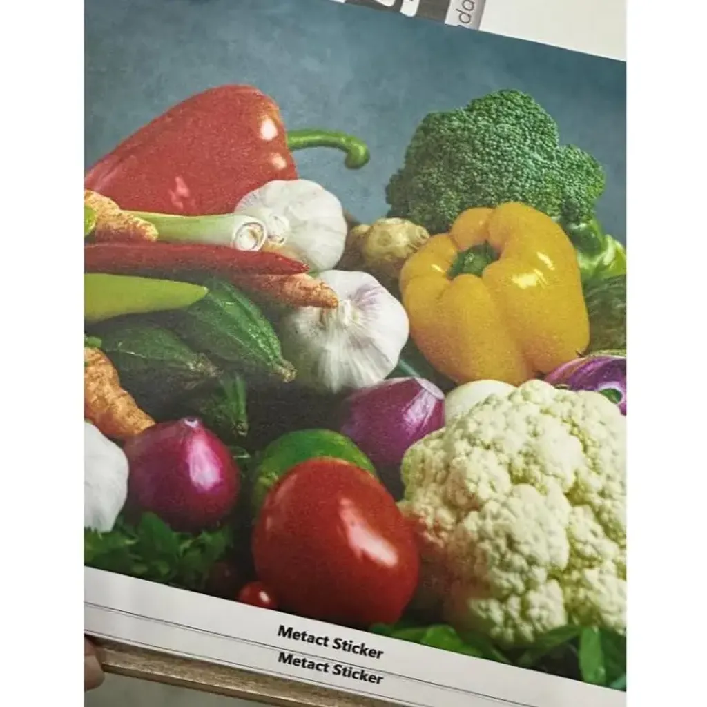 my-11134207-7r98s-lvx1rwhdiir4e1