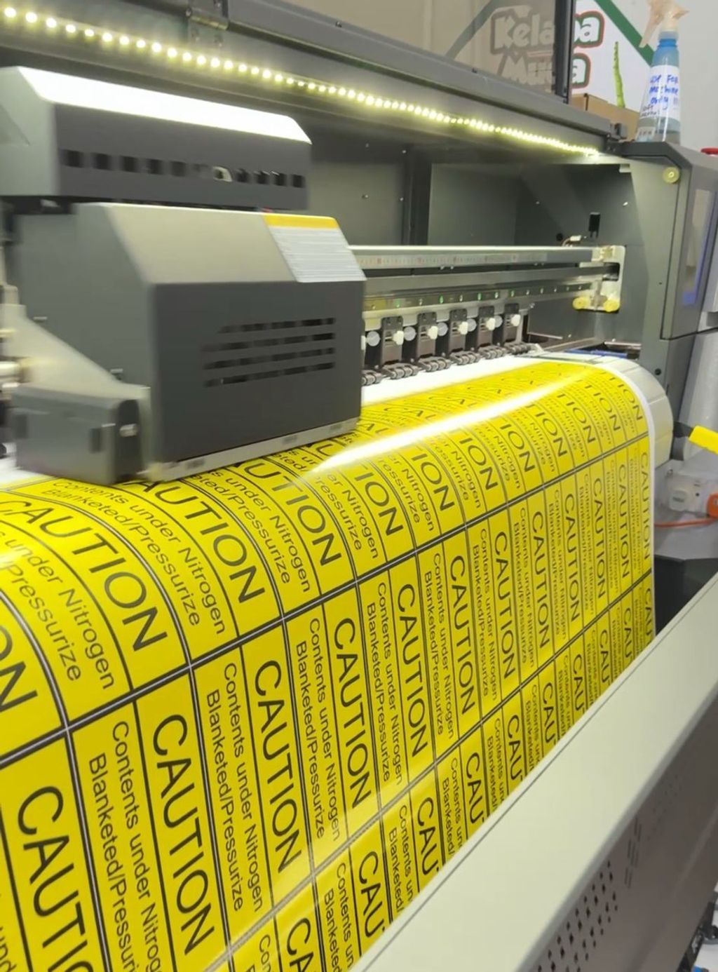 WhatsApp Image 2025-03-11 at 11.45.40