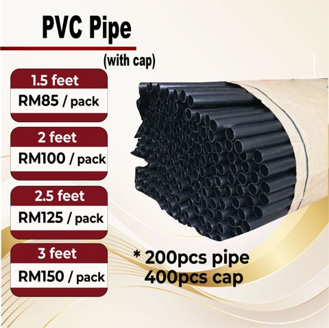 WhatsApp Image 2025-11-04 at 15.47.33