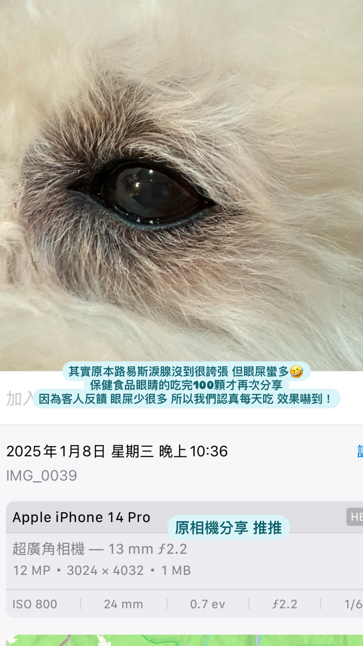 CC9B8ED9-9849-4ABE-996B-17C63ADEAC3A-1736496786117