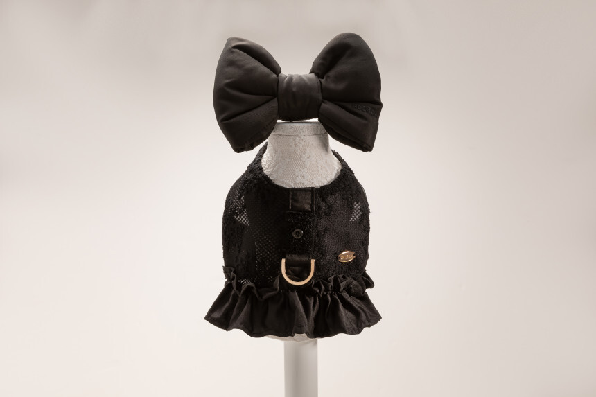 image_721CF5DF-155D-489B-8951-121B046311B4_1756432279