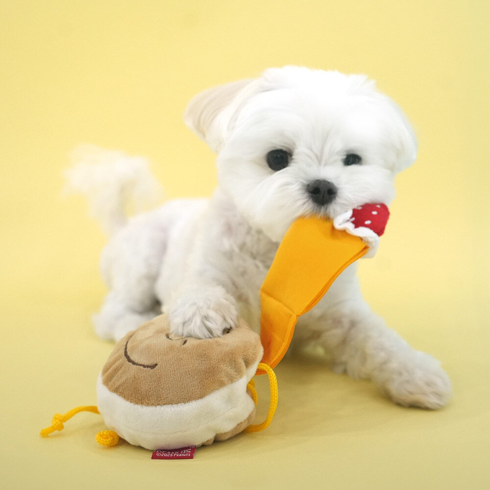 image_AA4FB284-A5A1-4F1E-9ED2-0DFB41ED4C98_1760749312