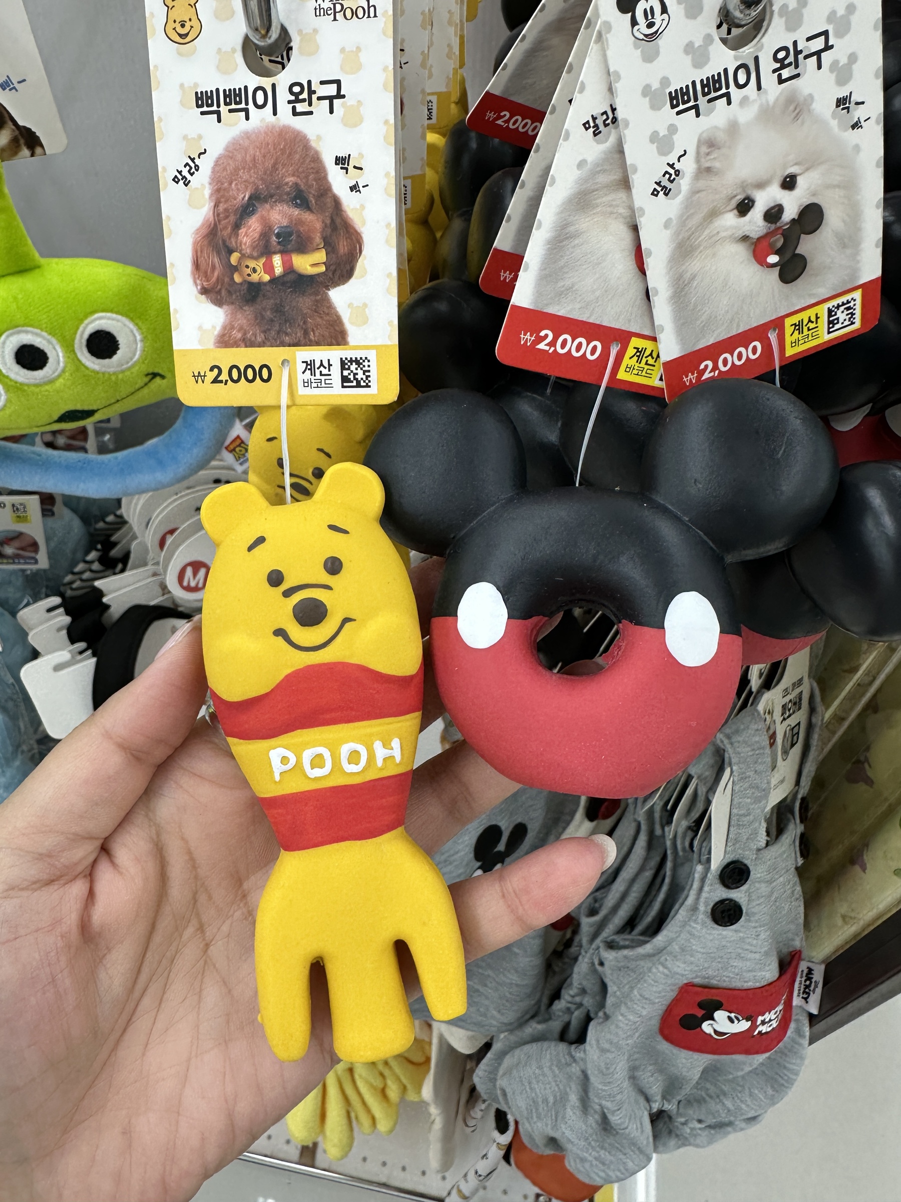 image_870ED91A-CBE0-4DC3-9350-3E53E97A2B5D_1760757269