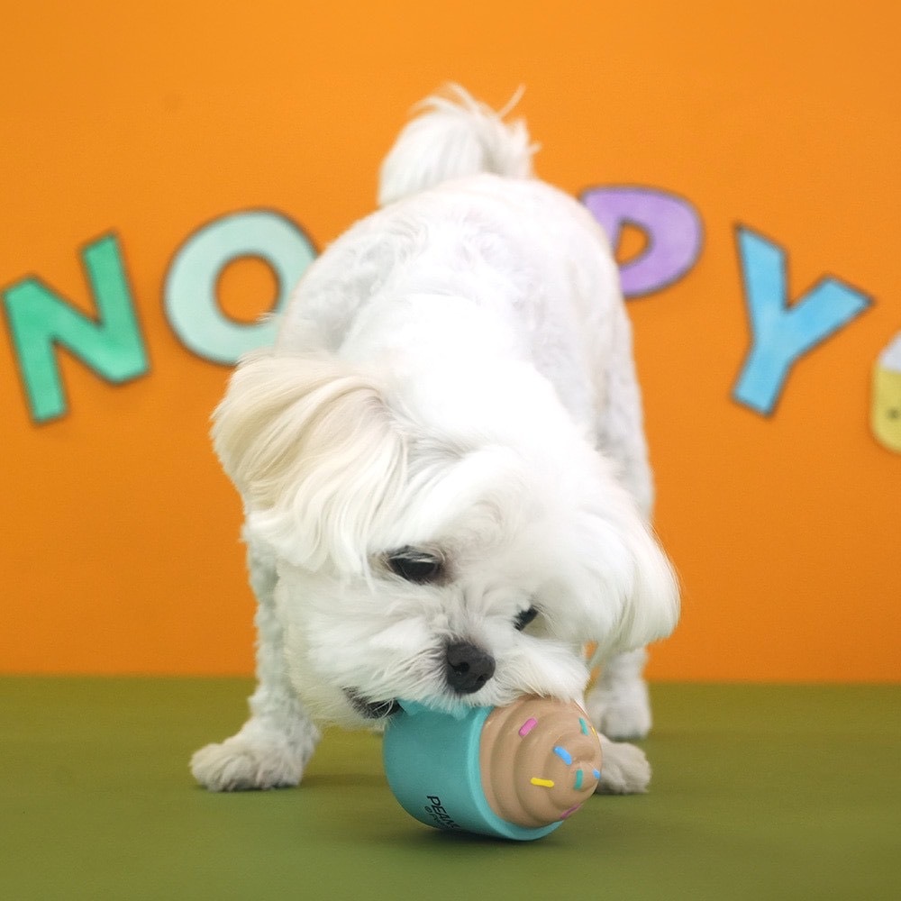 image_5203A231-914C-44F1-9380-6E0E165F3CC5_1760838146