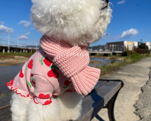 image_311569EF-2D56-4756-A719-33B67C67007C_1766451400
