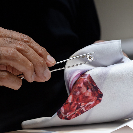 customization-icon-1