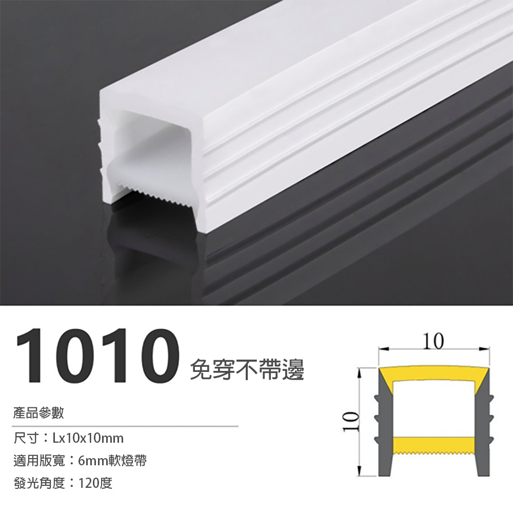 1010