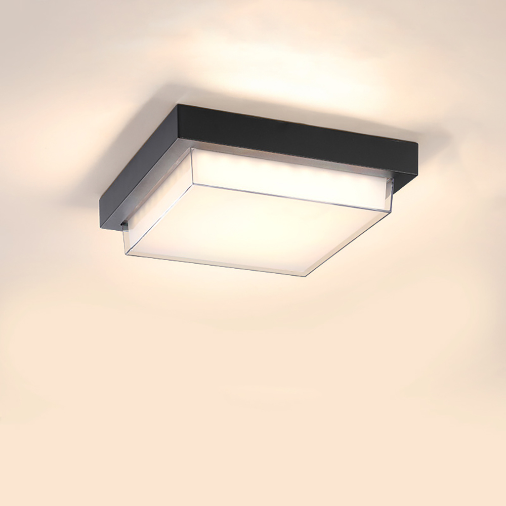 WWW