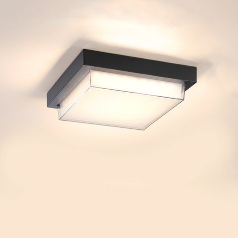 WWW