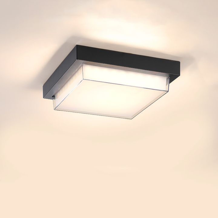 WWW