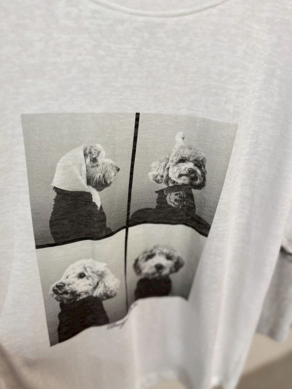 image_F2DA09C5-70BB-46BF-88E2-6F725747EC29_1775553414