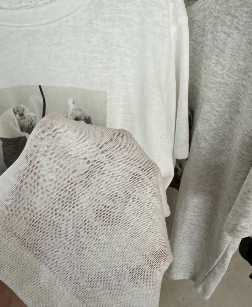 image_D8296E1F-234E-4C1D-9CEF-DBBCAD4706F3_1775553414