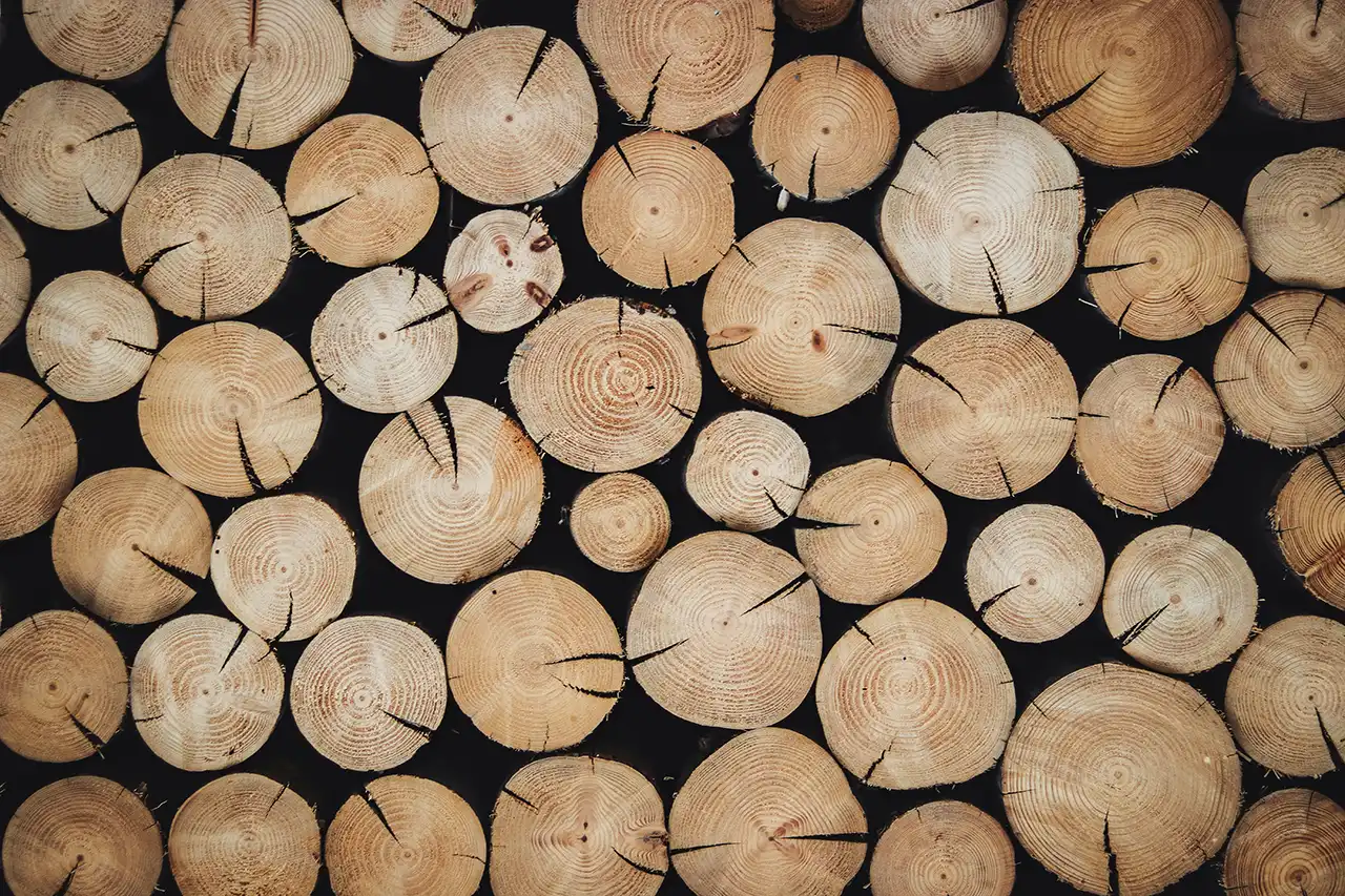 alexandre-jaquetoni-6yelWDI3RE8-unsplash 拷貝