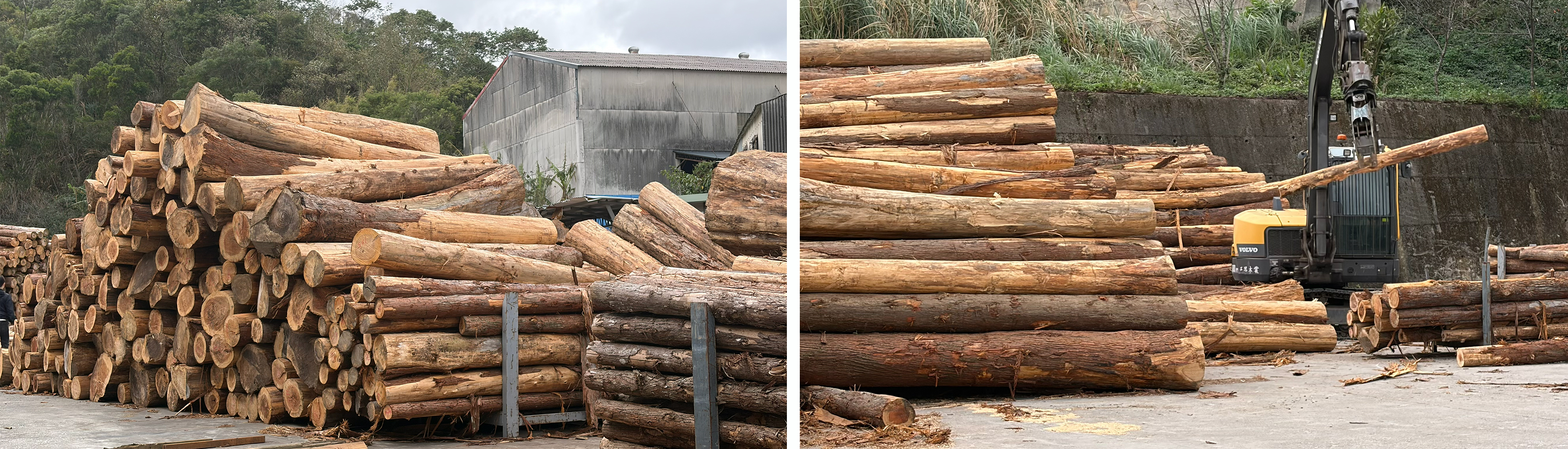 20260121_030534769_iOS-2