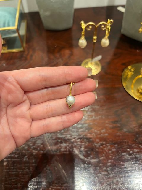 WhatsApp Image 2026-03-04 at 07.26.40 (1)