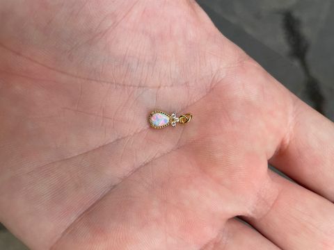 WhatsApp 圖片儲存時間2025-10-29，22.36.48_5fa93360