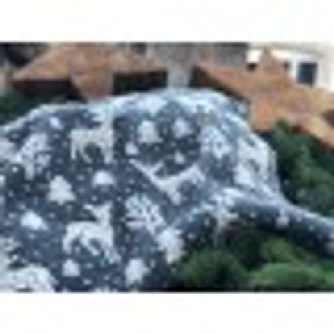 image_744D228B-C1C4-44B6-B9B2-7DC041253E4F_1763583006