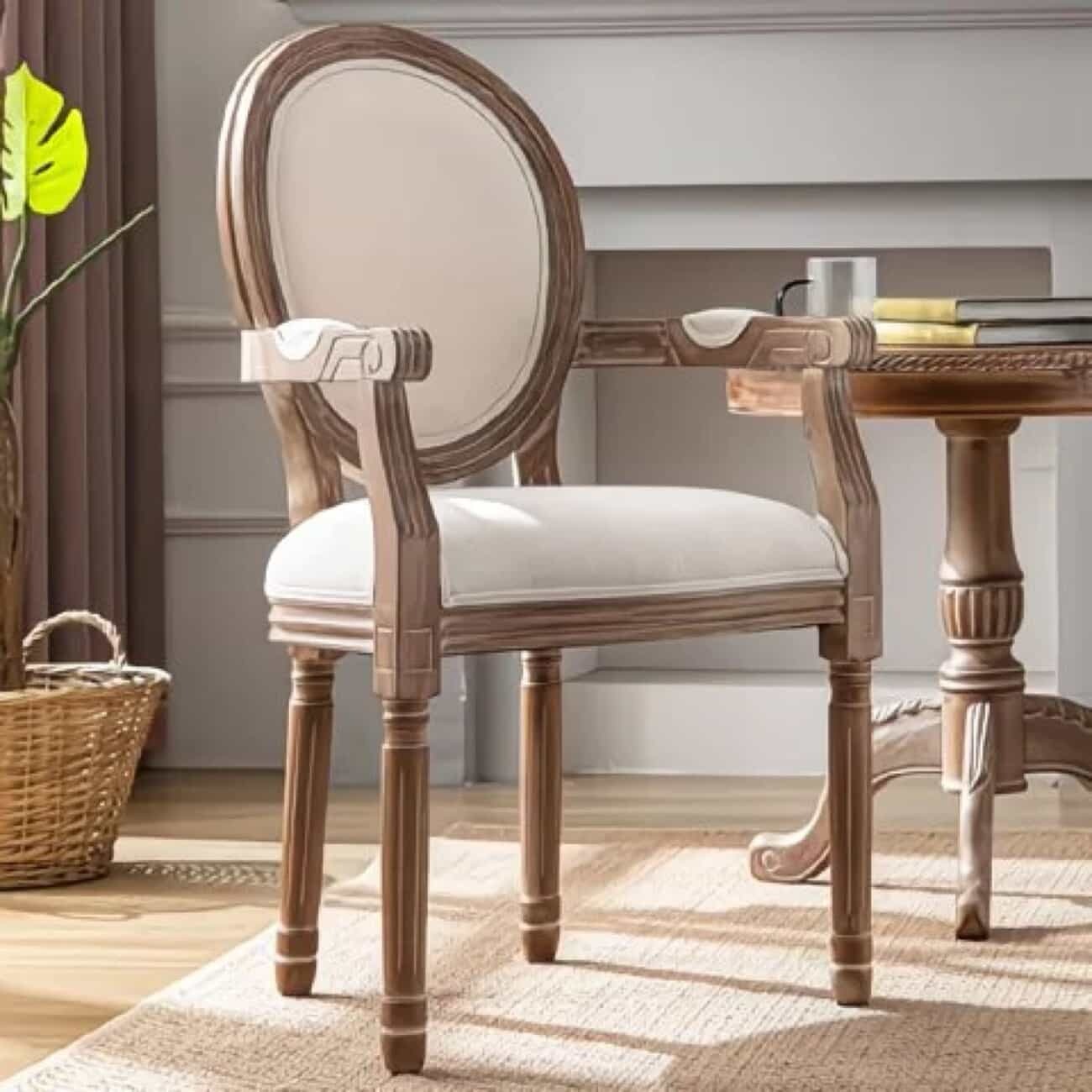 594433591_1843060279906005_6069270446926002521_n