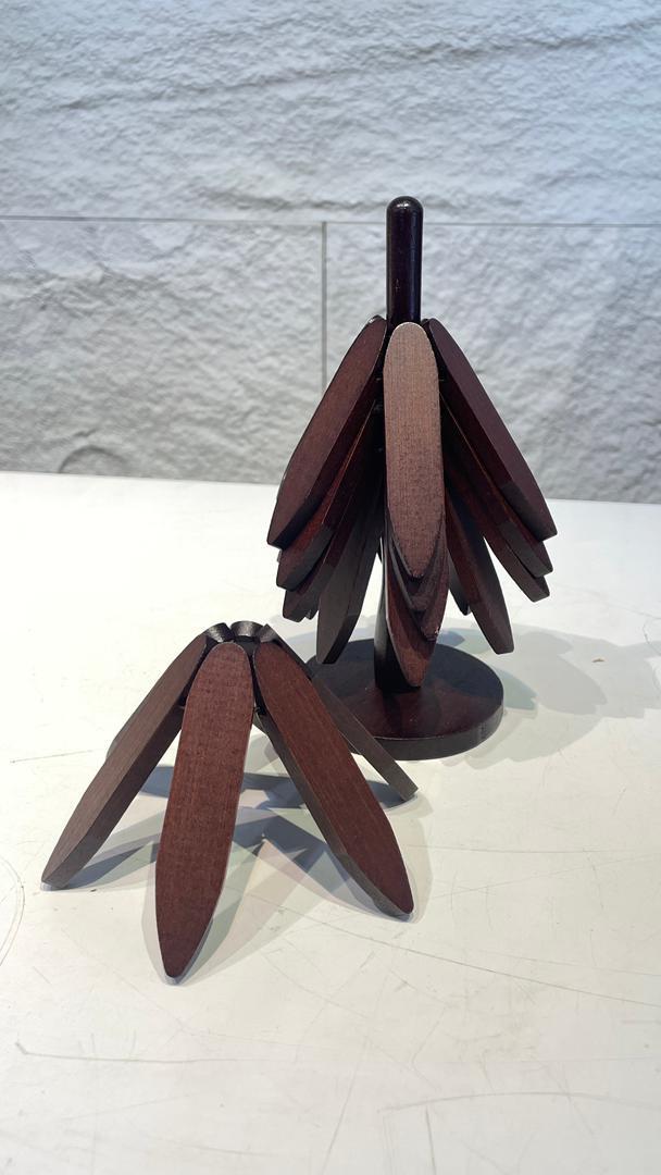 WhatsApp Image 2026-01-06 at 16.20.43