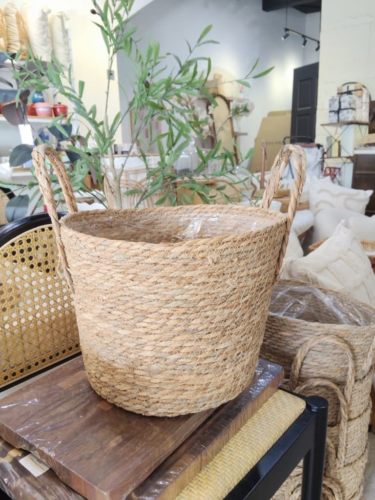 WhatsApp Image 2026-01-11 at 17.16.57