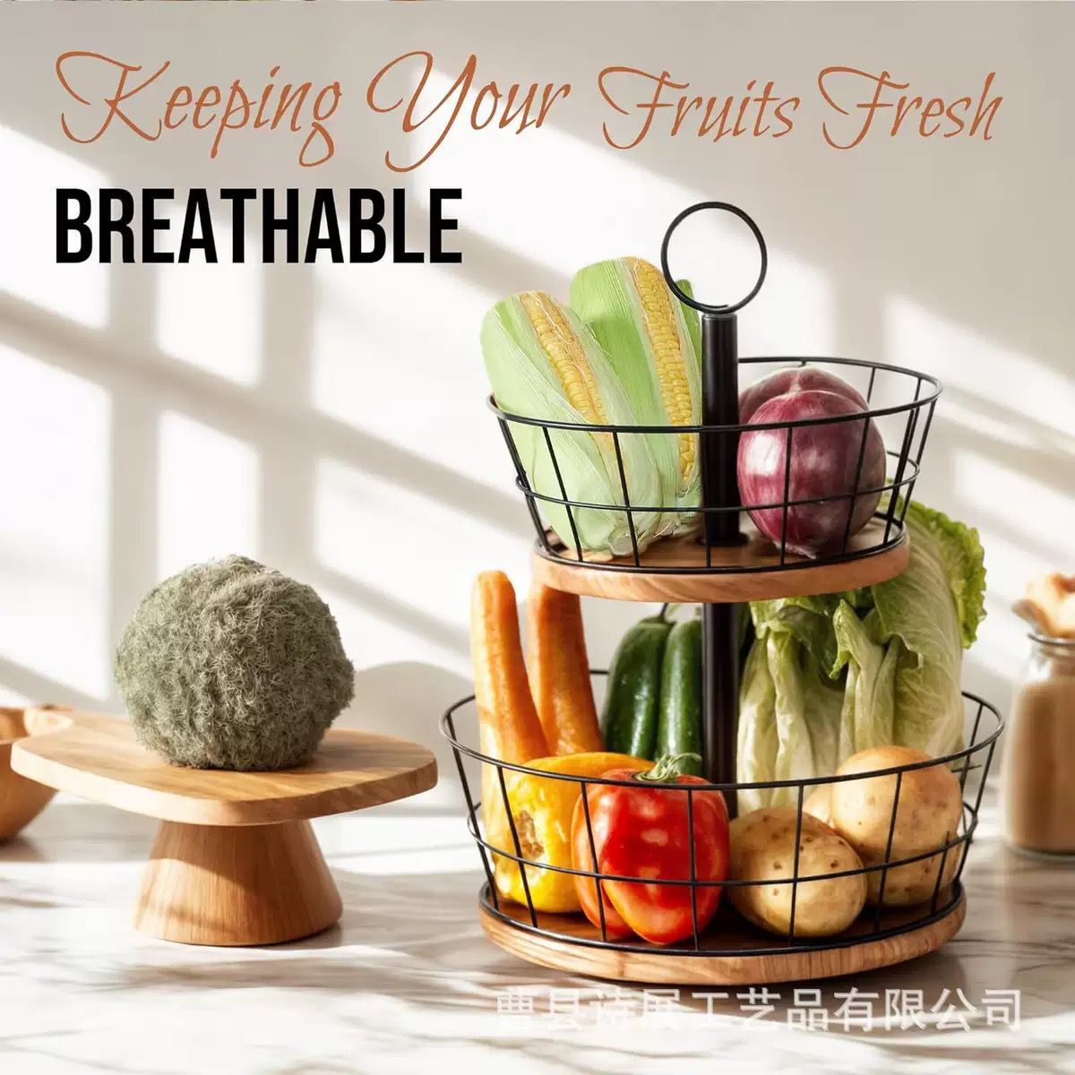 WhatsApp Image 2026-02-21 at 10.36.29