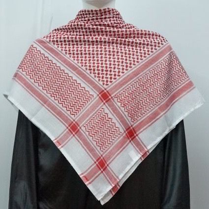 WhatsApp Image 2024-06-08 at 2.08.33 PM