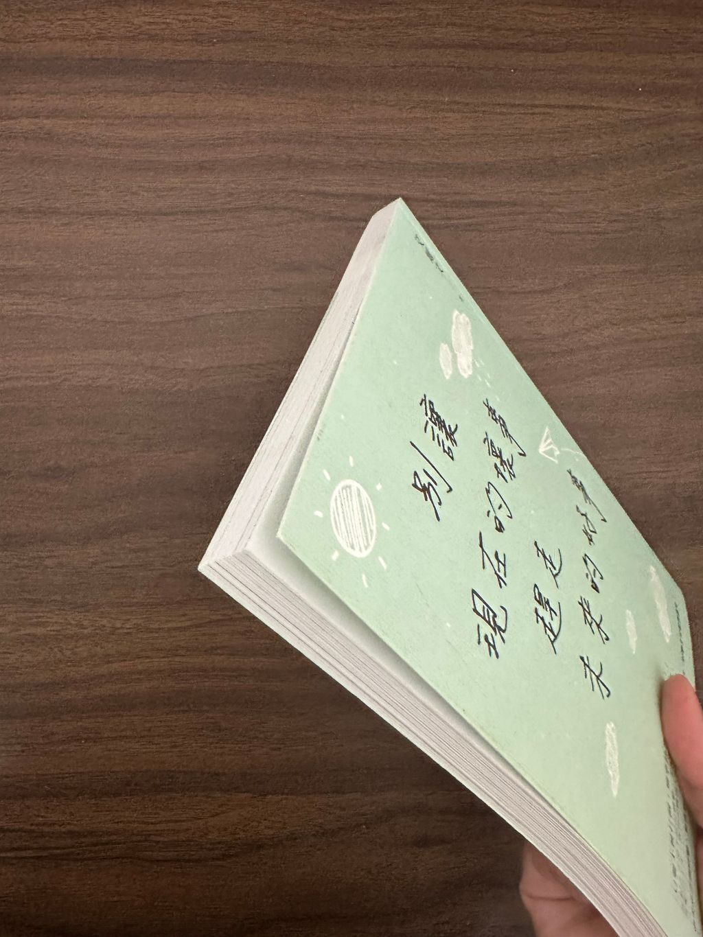 IMG_4310
