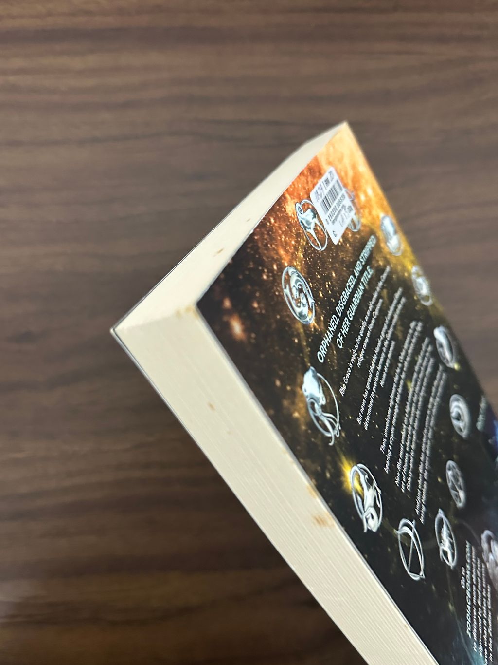 IMG_5867