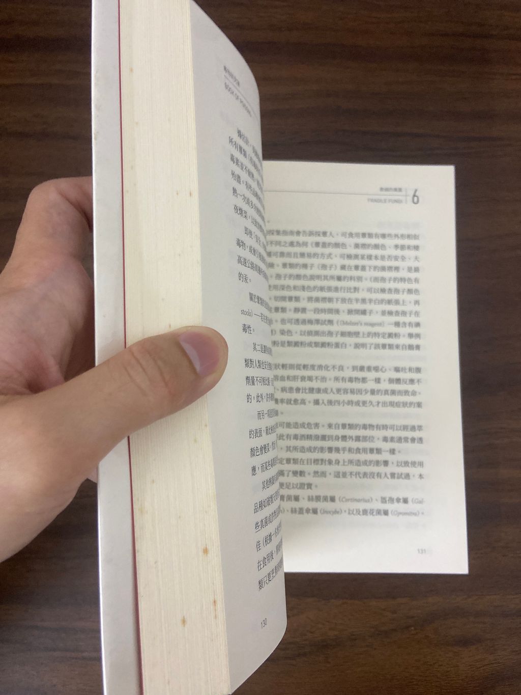 image_picker_E9524078-9E76-45C3-9E73-85FF48F11342-17103-000008FDE8533527