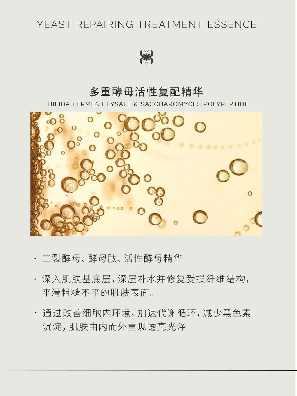 多重酵母复配精华 (1)