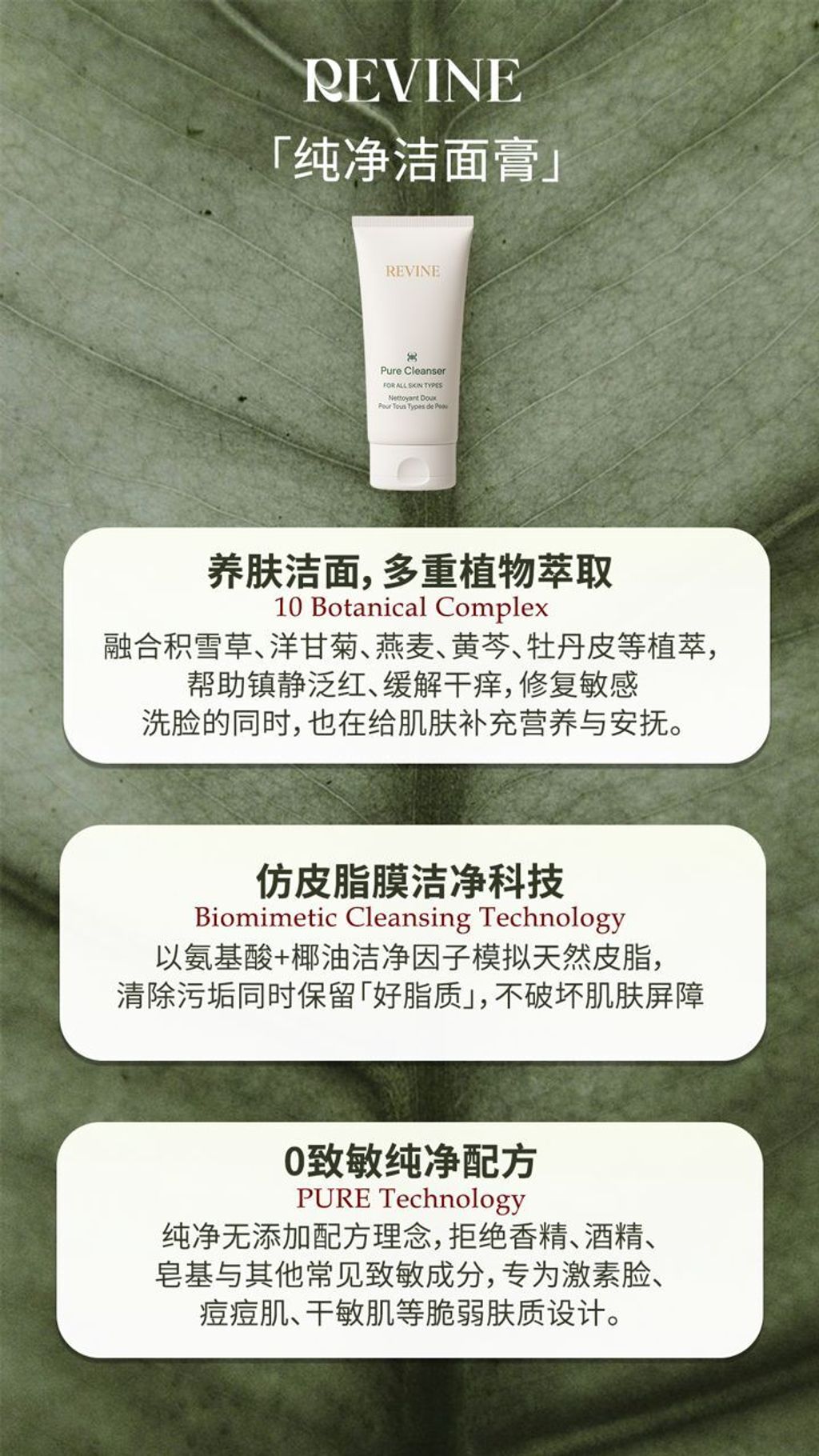 WhatsApp Image 2025-08-11 at 21.59.46 (1)