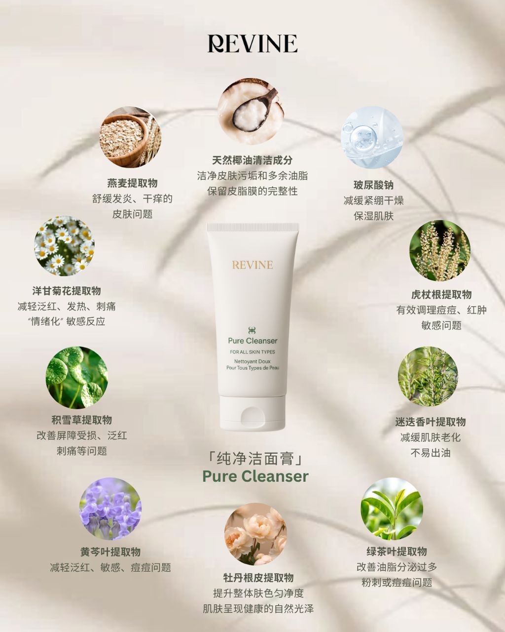 WhatsApp Image 2025-08-11 at 21.59.47