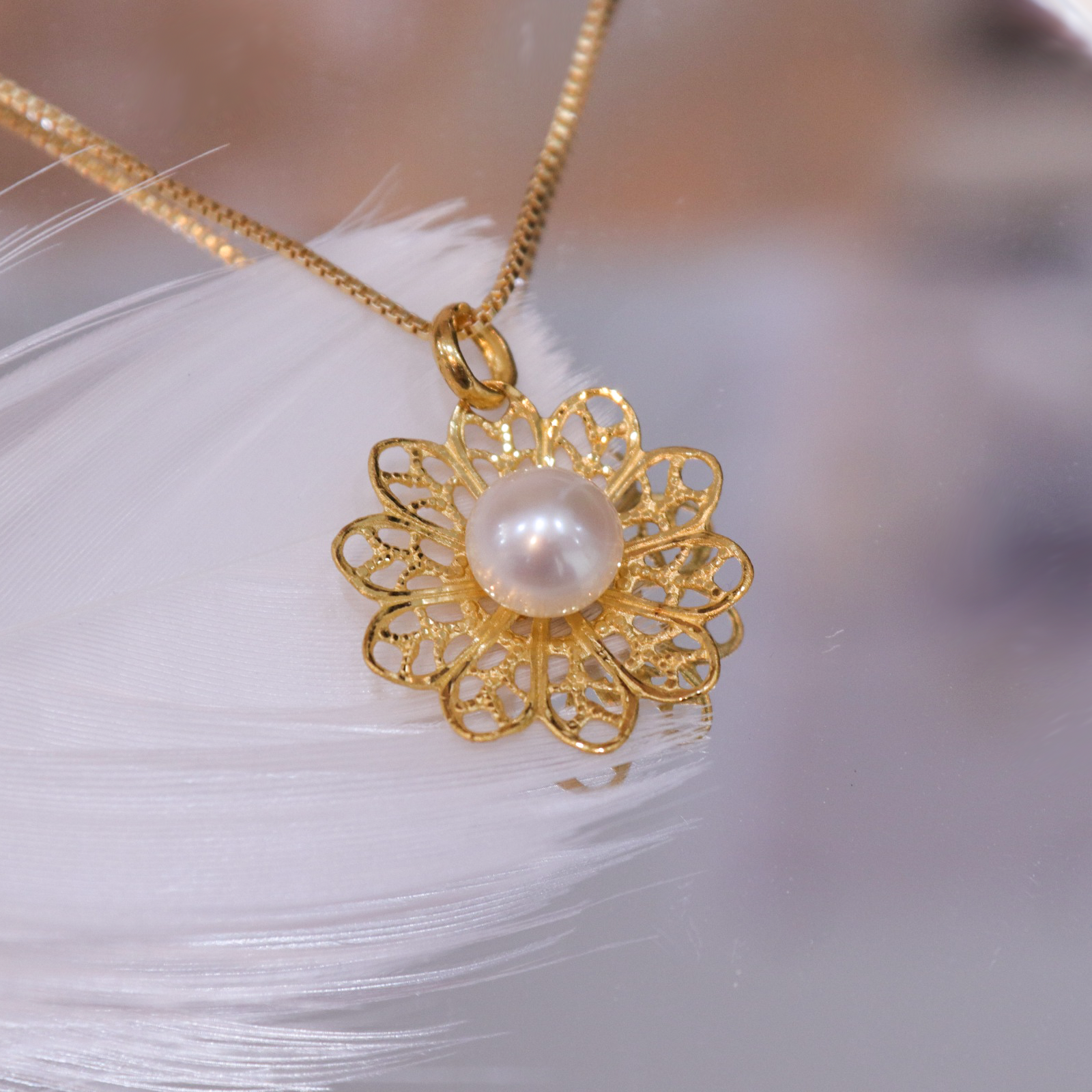 20240626140054_IMG_2179 copy