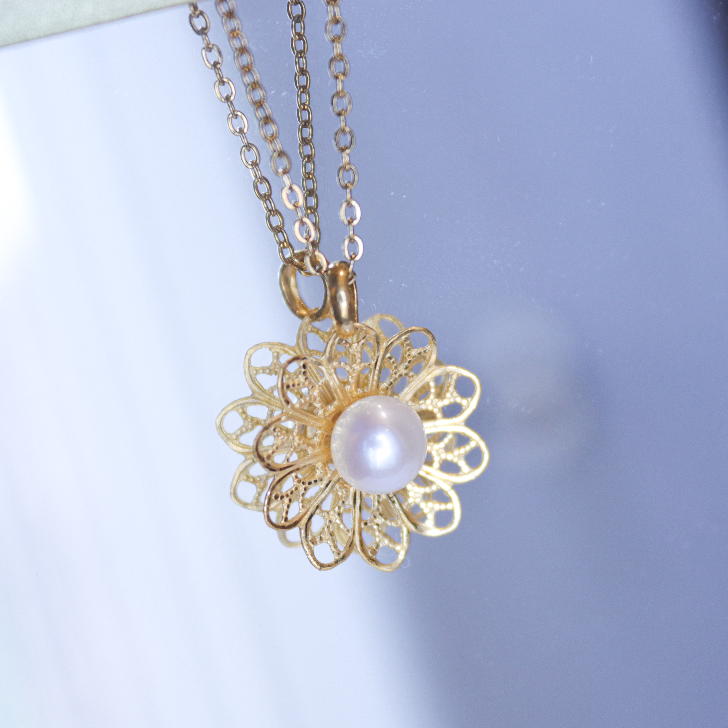 20240509135535_IMG_1563 copy2