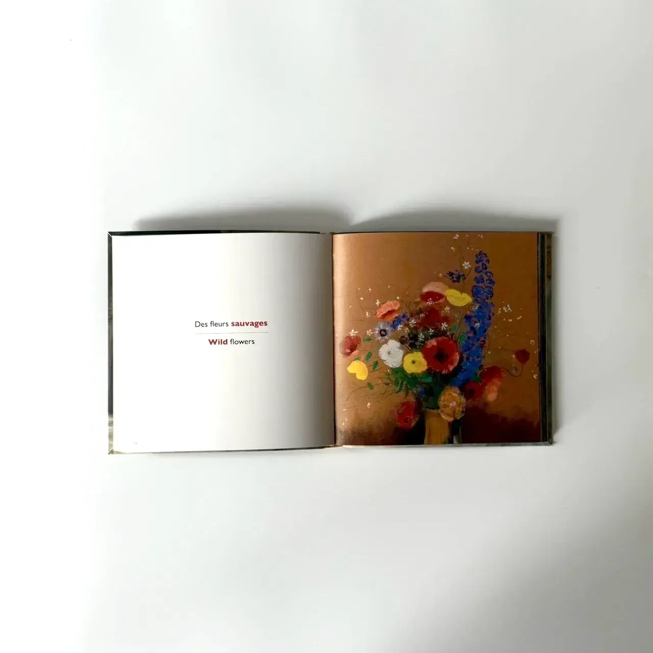 5D13554A-7E5F-4992-923C-8E557AEDBCD5